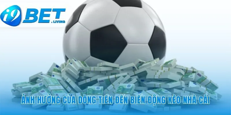 Hiểu cách đám đông đang suy nghĩ qua các con số