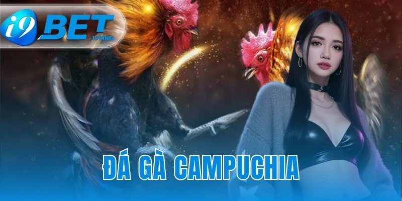 Đá gà Campuchia